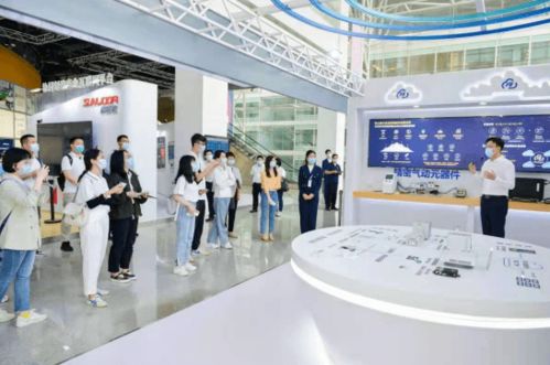 這個(gè)春天,看深圳迎風(fēng)起舞